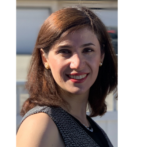 Mojgan Asadisaravi  