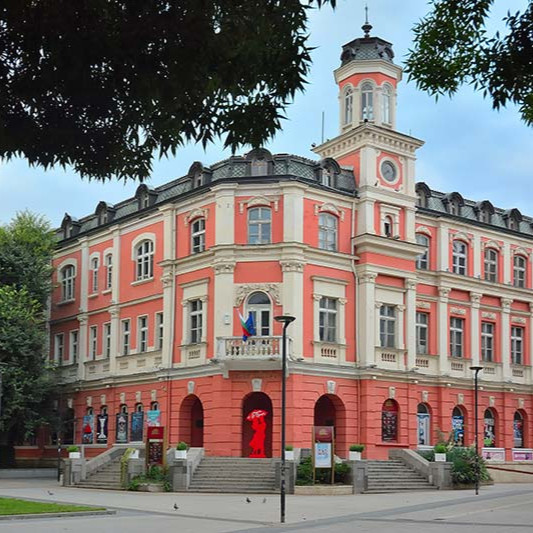 Радост и Радост ЕООД Плевен